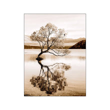 Load image into Gallery viewer, 44125364257016|44125364289784|44125364322552|44125364355320|44125364388088|44125364420856