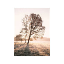 Load image into Gallery viewer, 44125362454776|44125362487544|44125362520312|44125362553080|44125362585848|44125362618616