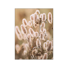 Load image into Gallery viewer, 44125362880760|44125362913528|44125362946296|44125362979064|44125363011832|44125363044600