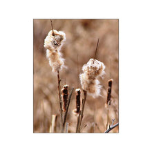 Load image into Gallery viewer, 44125363863800|44125363896568|44125363929336|44125363962104|44125363994872|44125364027640