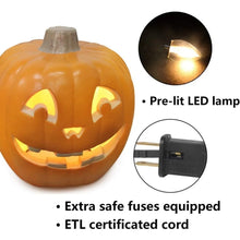 Load image into Gallery viewer, Halloween Pumpkin Lantern,Lighted Pumpkin with LED Bulb Indoor/Outdoor
