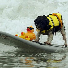 Load image into Gallery viewer, Dog Life Vest Summer Printed Reflective  Pets Safety Swimming Suit
