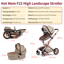 Load image into Gallery viewer, Baby Stroller 3 in 1 - jeaniesunusualdecor
